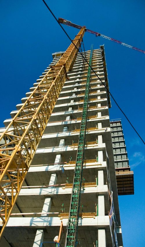 pexels-marosmarkovic-1451416